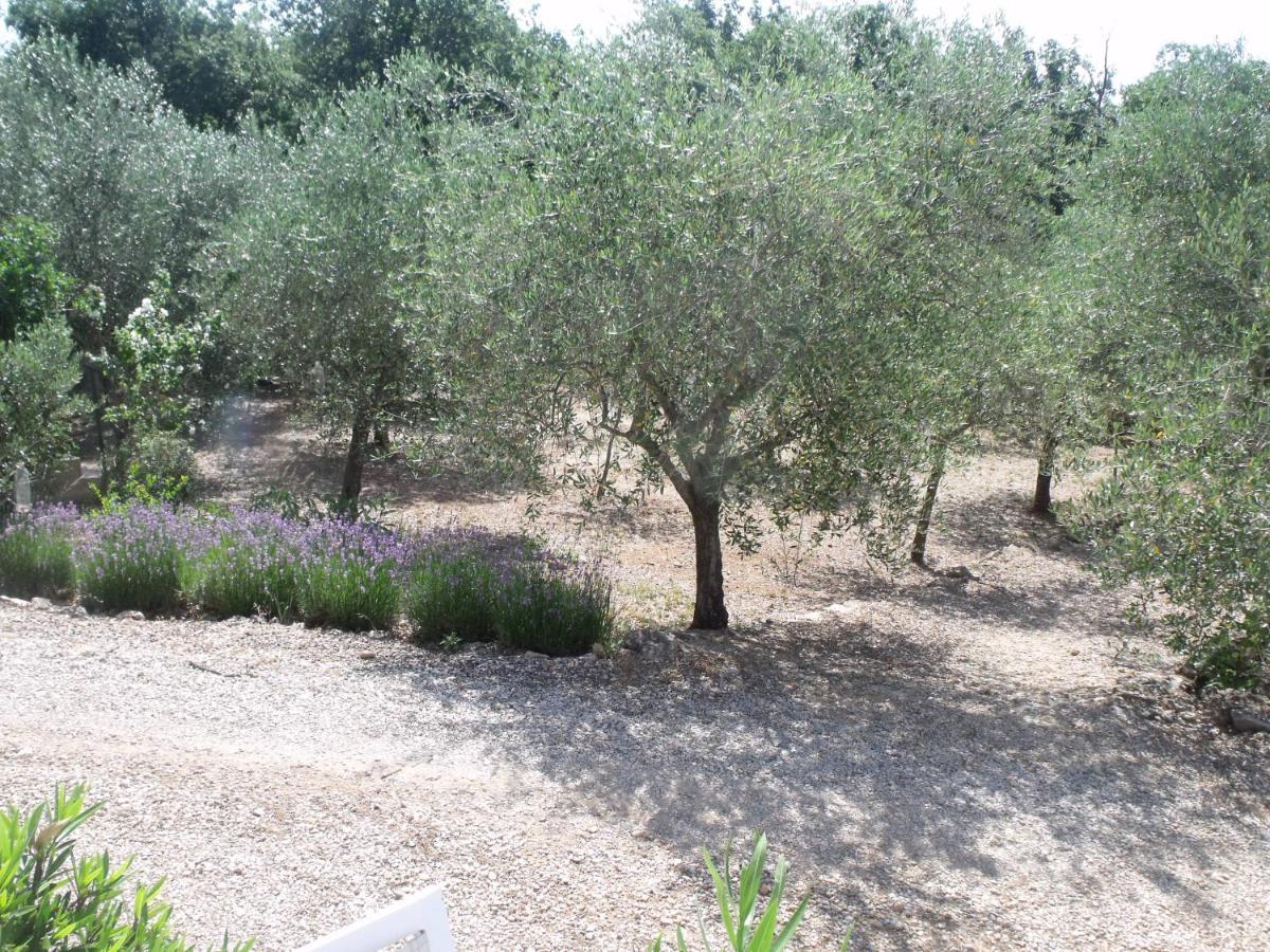 Le Bonheur Au Soleil Holiday home *