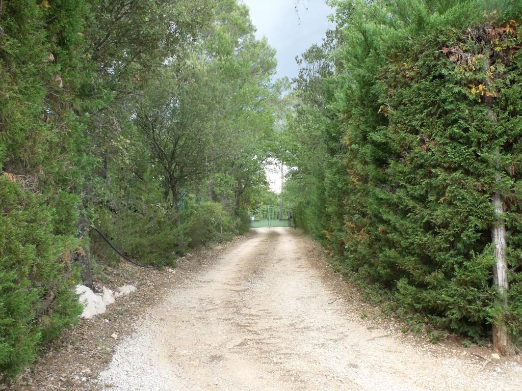 Le Bonheur Au Soleil * Saint-Maximin-la-Sainte-Baume